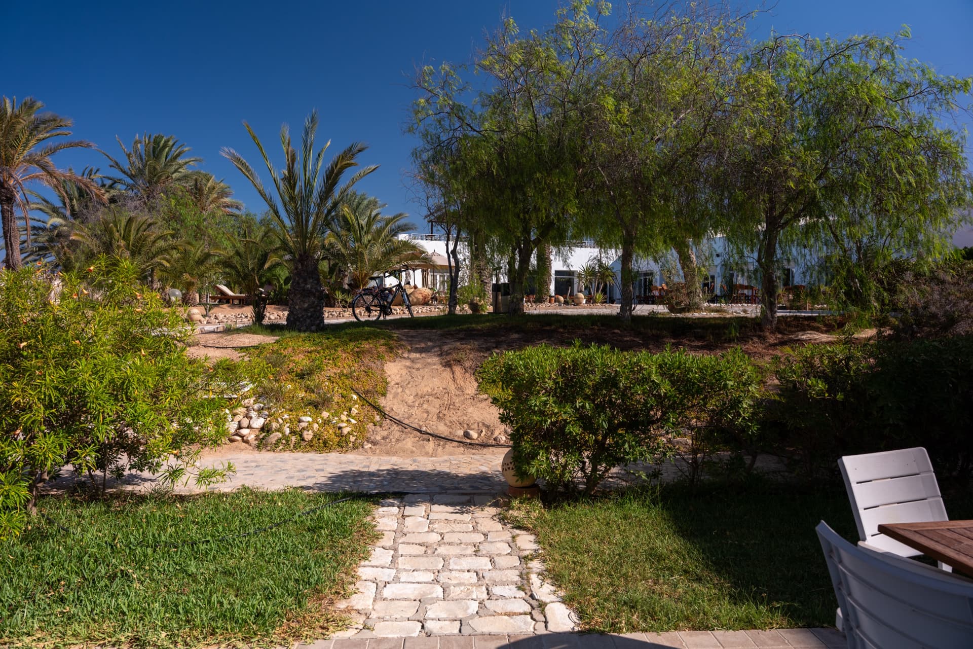 جناح عائلي جونيور 7