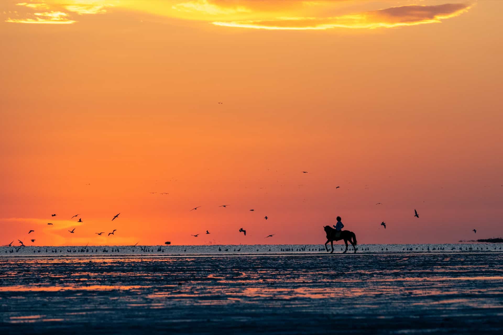 Slow Travel auf Djerba: Die Kunst des Anderen Reisens
