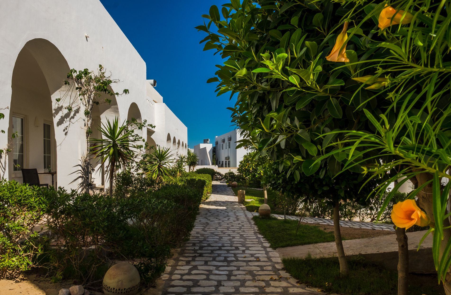 Galerie Photos de Jardins de Toumana Djerba